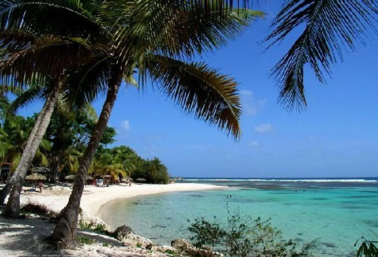 Jolie studio meublé avec petite vue mer Saint-Francois  0*, Saint-Francois (Grande-Terre) Guadalupe