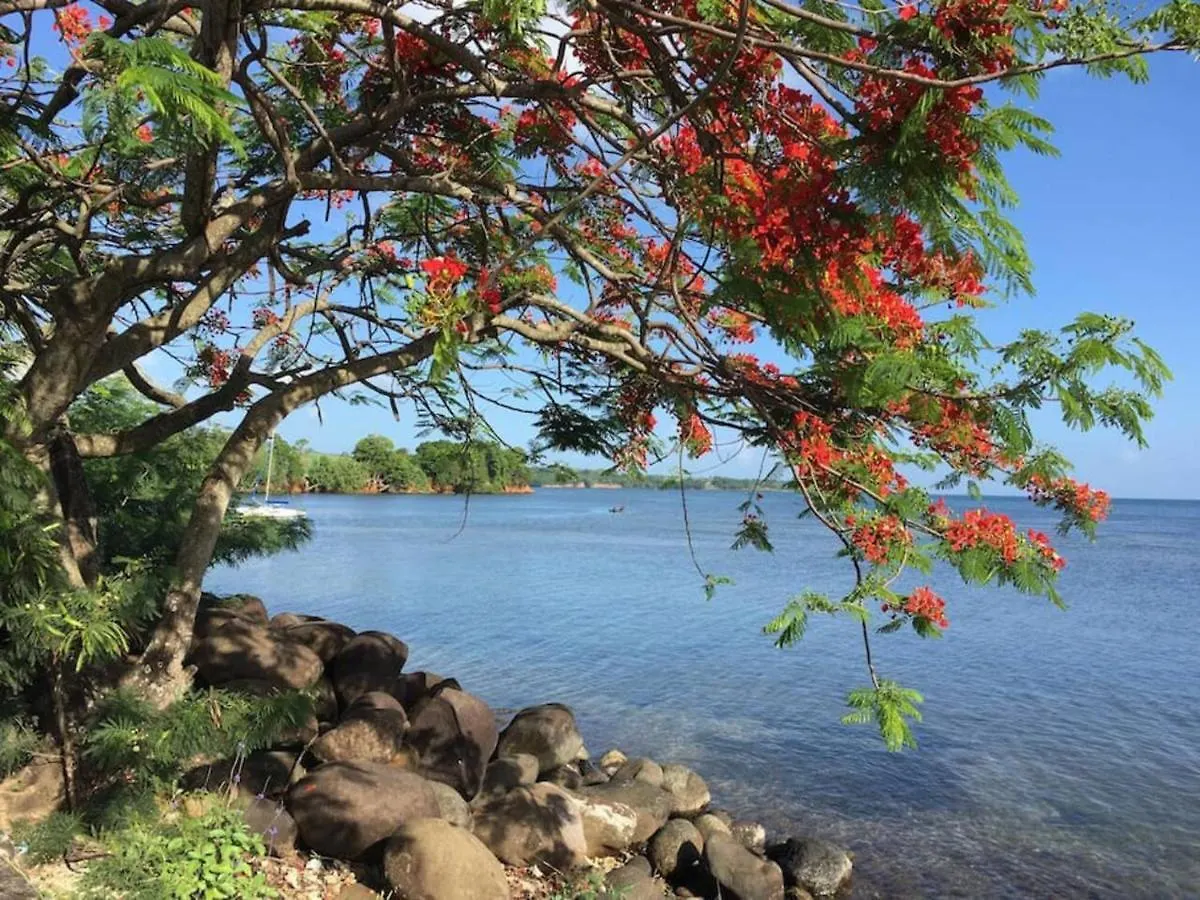Jolie studio meublé avec petite vue mer Saint-Francois  0*, Saint-Francois (Grande-Terre)